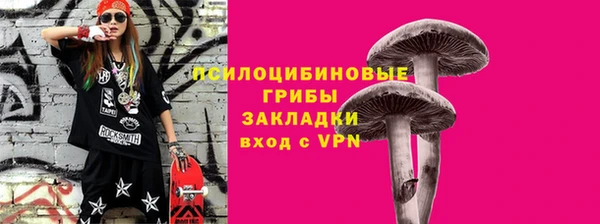 винт Абаза