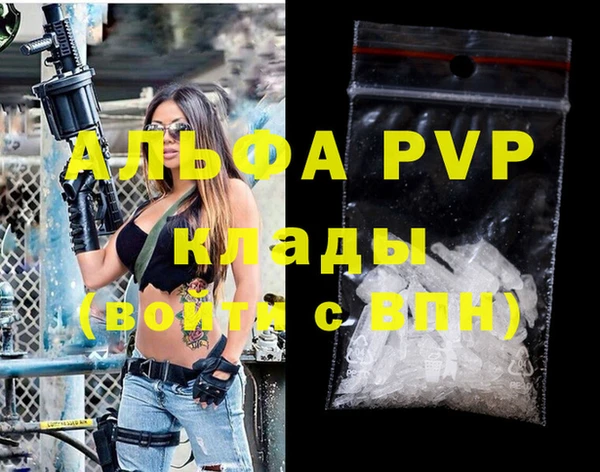 стафф Алексин
