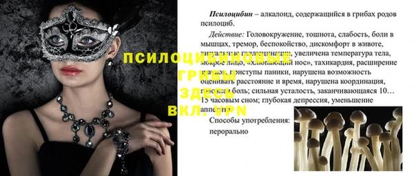 трава Абинск